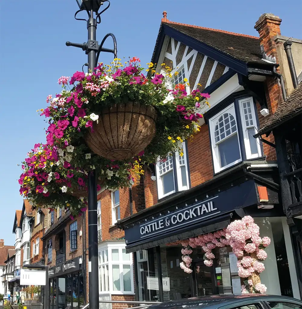 Local Oxted web designer and technology partner - Will Dobson